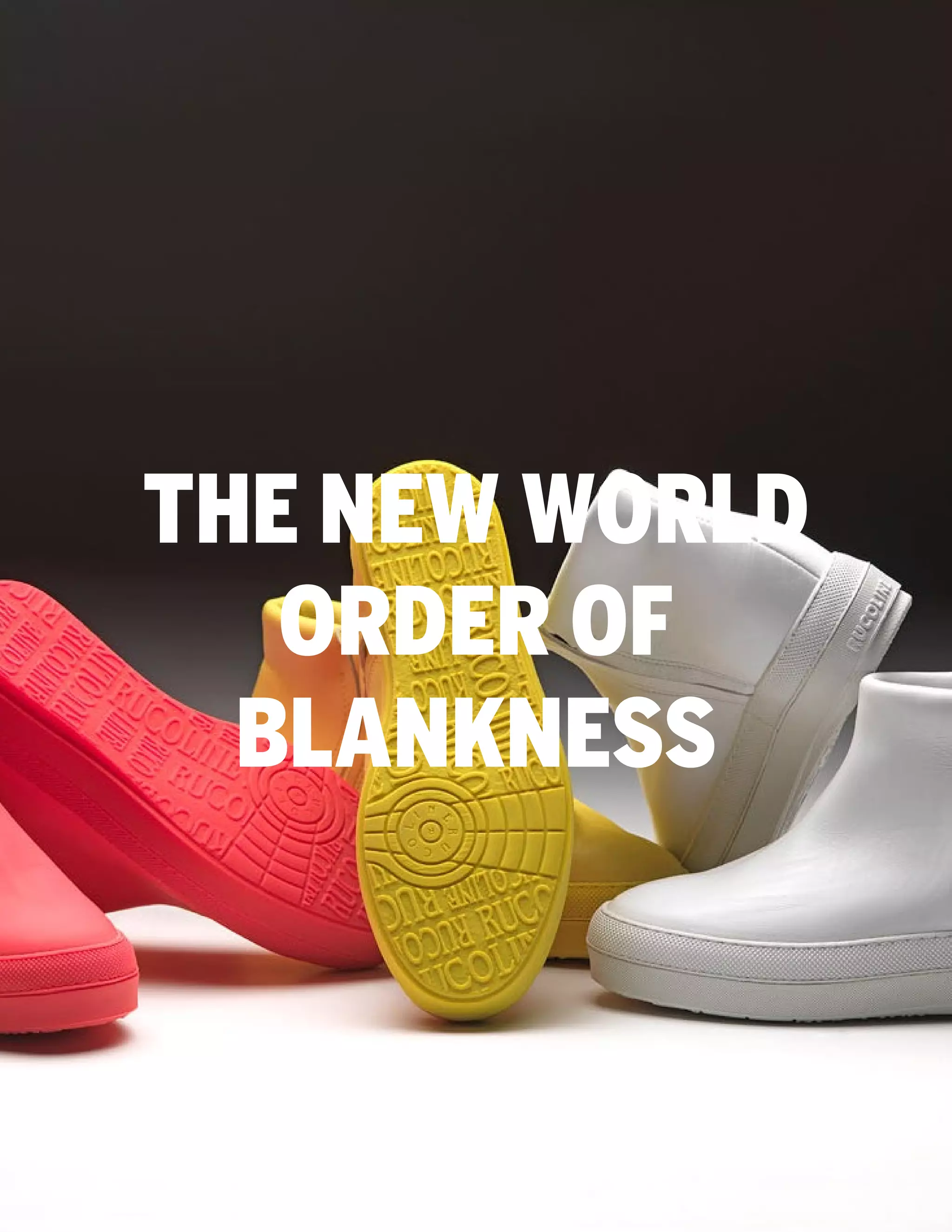 THE NEW WORLD
ORDER OF
BLANKNESS

 