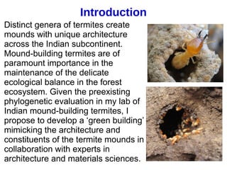 Introduction
Distinct genera of termites create
mounds with unique architecture
across the Indian subcontinent.
Mound-building termites are of
paramount importance in the
maintenance of the delicate
ecological balance in the forest
ecosystem. Given the preexisting
phylogenetic evaluation in my lab of
Indian mound-building termites, I
propose to develop a ‘green building’
mimicking the architecture and
constituents of the termite mounds in
collaboration with experts in
architecture and materials sciences.
 