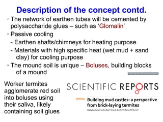 ➢ The network of earthen tubes will be cemented by
polysaccharide glues – such as ‘Glomalin’
➢ Passive cooling
- Earthen shafts/chimneys for heating purpose
- Materials with high specific heat (wet mud + sand
clay) for cooling purpose
➢ The mound soil is unique – Boluses, building blocks
of a mound
Description of the concept contd.
Worker termites
agglomerate red soil
into boluses using
their saliva, likely
containing soil glues
 