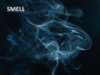 SMELL