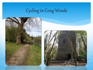 Cycling in Cong Woods
 