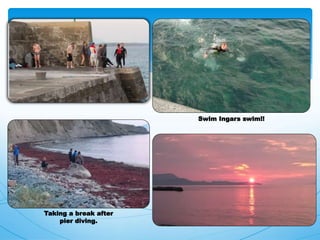 Swim Ingars swim!!
Taking a break after
pier diving.
 