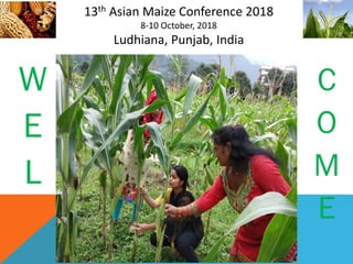 13th Asian Maize Conference 2018
8-10 October, 2018
Ludhiana, Punjab, India
W
E
L
C
O
M
E
 