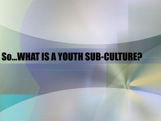 So…WHAT IS A YOUTH SUB-CULTURE? 