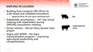 Sustainable Animal Productivity for Livelihoods, Nutrition and Gender Inclusion (SAPLING)