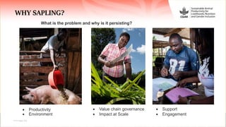 Sustainable Animal Productivity for Livelihoods, Nutrition and Gender Inclusion (SAPLING)