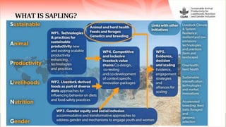 Sustainable Animal Productivity for Livelihoods, Nutrition and Gender Inclusion (SAPLING)