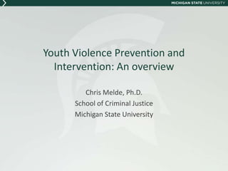 Youth Violence Prevention and
  Intervention: An overview

         Chris Melde, Ph.D.
      School of Criminal Justice
      Michigan State University
 