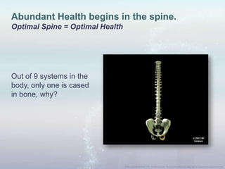 Abundant Health begins in the spine.
Optimal Spine = Optimal Health
Out of 9 systems in the
body, only one is cased
in bone, why?
 