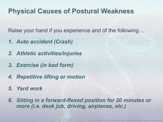 Physical Causes of Postural Weakness
Raise your hand if you experience and of the following…
1. Auto accident (Crash)
2. Athletic activities/injuries
3. Exercise (in bad form)
4. Repetitive lifting or motion
5. Yard work
6. Sitting in a forward-flexed position for 20 minutes or
more (i.e. desk job, driving, airplanes, etc.)
 