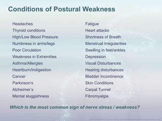 Headaches Fatigue
Thyroid conditions Heart attacks
High/Low Blood Pressure Shortness of Breath
Numbness in arms/legs Menstrual Irregularities
Poor Circulation Swelling in feet/ankles
Weakness in Extremities Depression
Asthma/Allergies Visual Disturbances
Heartburn/Indigestion Hearing disturbances
Cancer Bladder Incontinence
Parkinson‟s Skin Conditions
Alzheimer‟s Carpal Tunnel
Mental sluggishness Fibromyalgia
Which is the most common sign of nerve stress / weakness?
Conditions of Postural Weakness
 