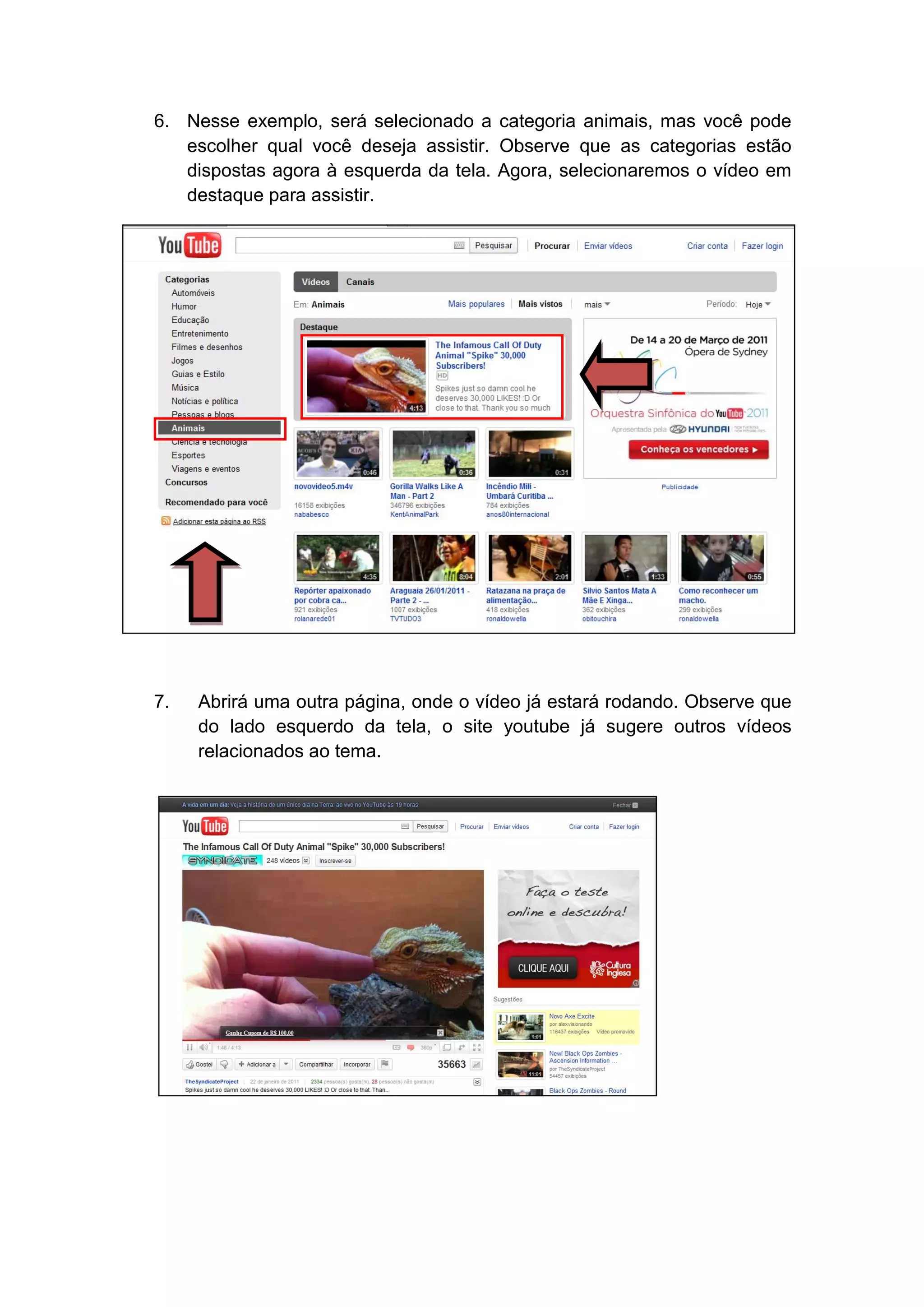 6. Nesse exemplo, será selecionado a categoria animais, mas você pode
   escolher qual você deseja assistir. Observe que as categorias estão
   dispostas agora à esquerda da tela. Agora, selecionaremos o vídeo em
   destaque para assistir.




7.   Abrirá uma outra página, onde o vídeo já estará rodando. Observe que
     do lado esquerdo da tela, o site youtube já sugere outros vídeos
     relacionados ao tema.
 