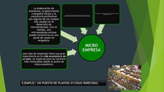 La elaboración de
artesanías, la gastronomía
a pequeña escala y la
consultoría profesional
son algunos de los campos
más usuales en el
desarrollo de
microempresas. Con el
tiempo, una
microempresa exitosa
puede convertirse en una
pyme de mayor en
vergadura.

La creación de una microempresa puede ser el primer paso de un
emprendedor a la hora de organizar un proyecto y llevarlo adelante.

este tipo de empresas tiene una gran
importancia en la vida económica de
un país, en especial para los sectores
más vulnerables desde el punto de
vista económico.

El dueño hace las veces de gerente, administrador, operario,
vendedor, secretario.

MICRO
EMPRESA

EJEMPLO:: UN PUESTO DE PLANTAS O COSAS PARECIDAS.

 