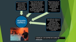 Ritmo de crecimiento
por lo común
superior al de la
microempresa
ypuede ser aún
mayor que el de la
mediana o grande.

PEQUEÑA
EMPRESA

Mayor división del trabajo
(que la microempresa)
originada por unamayor
complejidad de las funciones;
así como la resolución
deproblemas que se
presentan; lo cual, requiere
de una adecuada divisiónde
funciones y delegación de
autoridad.

Requerimiento de una
mayor organización
(que la microempresa)
en lorelacionado a
coordinación del
personal y de los
recursos
materiales,técnicos y
financieros

Capacidad para abarcar el
mercado local, regional y
nacional, y con
lasfacilidades que
proporciona la red de
internet, puede traspasar
lasfronteras con sus
productos (especialmente si
son digitales, comosoftware
y libros digitales)
y servicios.

EJEMPLOS: UN CENTRO DE CUROS DE
NATACION

 