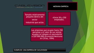 MEDIANA EMPRESA

Tamaño relativamente
pequeño dentro del
sector
industrial que actúa.

•Entre 50 y 250
empleados.

Las empresas que ocupan hasta 250
personas y el valor de sus ventas
anuales no rebasen el equivalente
a $20’000,000 (Economía Mexicana
en Cifras, 1994)

EJEMPLOS: UNA EMPRESA DE CACLEVISION

 