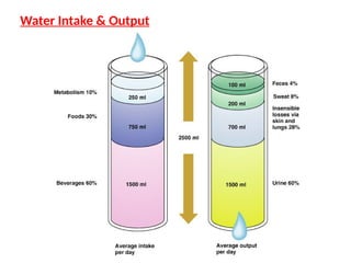 Water Intake & Output
 