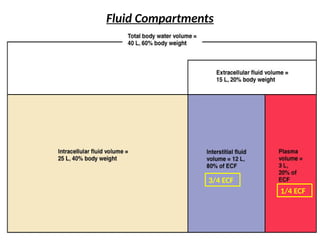 Fluid Compartments
3/4 ECF
1/4 ECF
 