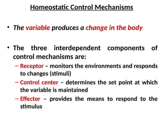Homeostatic Control Mechanisms
• The variable produces a change in the body
• The three interdependent components of
control mechanisms are:
– Receptor – monitors the environments and responds
to changes (stimuli)
– Control center – determines the set point at which
the variable is maintained
– Effector – provides the means to respond to the
stimulus
 