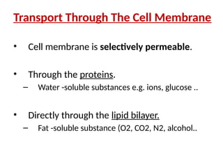 Transport Through The Cell Membrane
• Cell membrane is selectively permeable.
• Through the proteins.
– Water -soluble substances e.g. ions, glucose ..
• Directly through the lipid bilayer.
– Fat -soluble substance (O2, CO2, N2, alcohol..
 