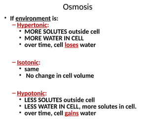 Osmosis
• If environment is:
– Hypertonic:
• MORE SOLUTES outside cell
• MORE WATER IN CELL
• over time, cell loses water
– Isotonic:
• same
• No change in cell volume
– Hypotonic:
• LESS SOLUTES outside cell
• LESS WATER IN CELL, more solutes in cell.
• over time, cell gains water
 