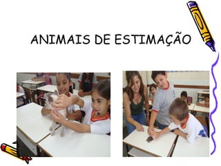 ANIMAIS DE ESTIMAÇÃO

 