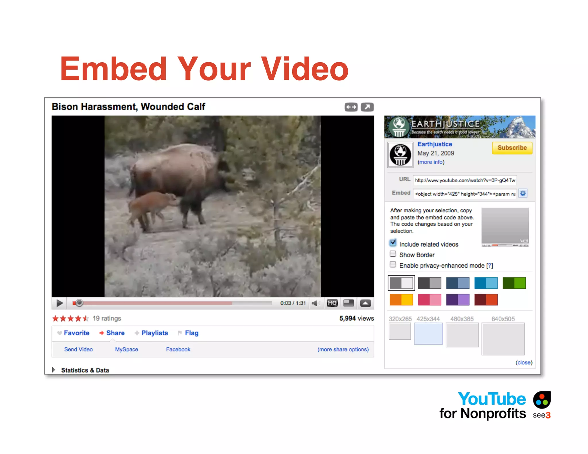 Embed Your Video
 