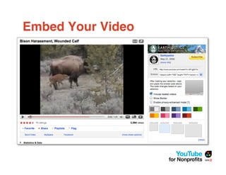Embed Your Video
 