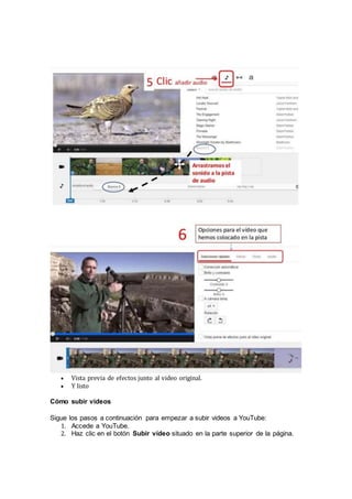  Vista previa de efectos junto al video original. 
 Y listo 
Cómo subir videos 
Sigue los pasos a continuación para empezar a subir videos a YouTube: 
1. Accede a YouTube. 
2. Haz clic en el botón Subir vídeo situado en la parte superior de la página. 
 