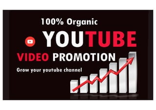 I will do organic youtube video promotion and video SEO