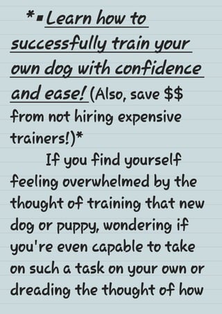 Beginners diy dog training guide