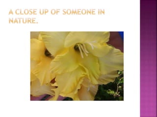 Youvebeenframed 151019104448-lva1-app6892