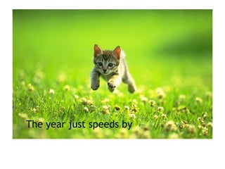 The year just speeds by 