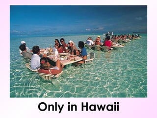 Only in Hawaii