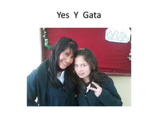 Yes Y Gata
 