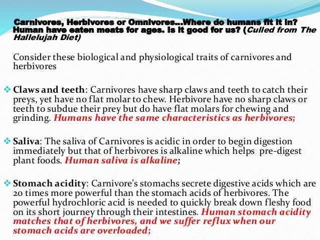 What are some characteristics of herbivores?