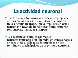 La actividad neuronal 
En el Sistema Nervioso hay redes complejas de 
células en las cuales los impulsos que viajan a 
través de una neurona, inicia impulsos en otras 
neuronas a nivel de hendiduras químicamente 
responsivas, llamadas sinapsis. 
Las sustancias químicas llamadas 
neurotransmisores son liberadas en estas sinapsis 
en respuesta a la llegada de impulsos en los 
terminales presinápticos de la primera neurona. 
 