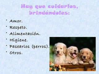 Hay que cuidarlos, brindándoles: Amor. Respeto. Alimentación. Higiene. Pasearlos (perros). Otros. 