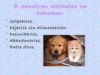 A nuestros animales no debemos: Golpearlos. Dejarlos sin alimentación. Descuidarlos. Abandonarlos. Entre otros. 