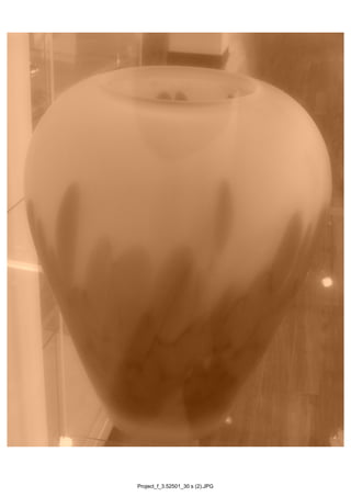 Project_f_3.52501_30 s (2).JPG
 