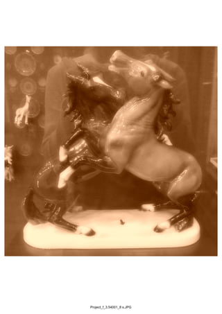 Project_f_3.54001_8 s.JPG
 