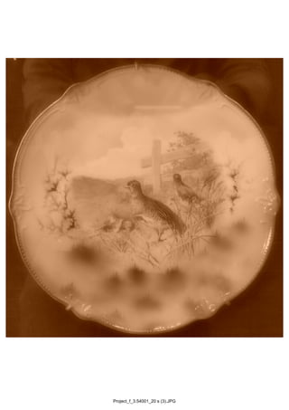 Project_f_3.54001_20 s (3).JPG
 