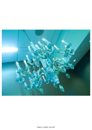 Project_f_3.54001_30 s.JPG
 