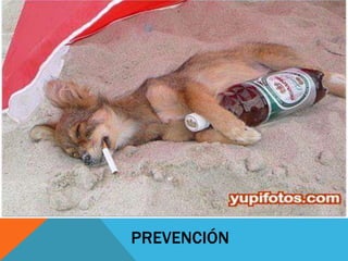 PREVENCIÓN
 