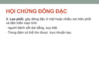HỘI CHỨNG ĐÔNG ĐẶC
3. Lao phổi. gây đông đặc ở một hoặc nhiều nơi trên phổi
và tiến triển mạn tính.
• người bệnh sốt dai dẳng, suy kiệt.
• Trong đàm có thể tìm được trực khuẩn lao.
 