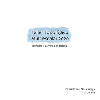 Taller Topológico
Multiescalar 2020
Gabriela Paz Marín Araya
2° Diseño
Bitácora + Laminas de trabajo
 