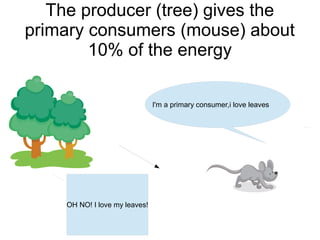 The producer (tree) gives the
primary consumers (mouse) about
10% of the energy
I'm a primary consumer,i love leaves

OH NO! I love my leaves!

 