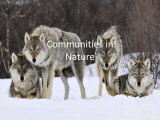 Communities in
Nature
 