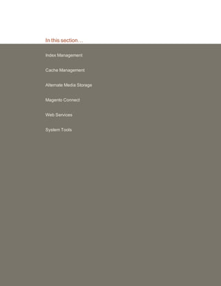 In this section…
Index Management
Cache Management
Alternate Media Storage
Magento Connect
Web Services
System Tools
 