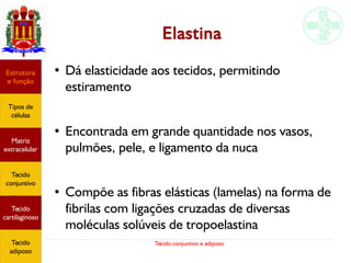 Tecido conjuntivo e adiposo
Elastina
●
Dá elasticidade aos tecidos, permitindo
estiramento
●
Encontrada em grande quantidade nos vasos,
pulmões, pele, e ligamento da nuca
●
Compõe as fibras elásticas (lamelas) na forma de
fibrilas com ligações cruzadas de diversas
moléculas solúveis de tropoelastina
Estrutura
e função
Tipos de
células
Matriz
extracelular
Tecido
conjuntivo
Tecido
adiposo
Estrutura
e função
Tipos de
células
Matriz
extracelular
Tecido
conjuntivo
Tecido
cartilaginoso
Tecido
adiposo
 