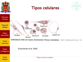Tecido conjuntivo e adiposo
Tipos celulares
Eroschenko et al. 2000
Estrutura
e função
Tipos de
células
Matriz
extracelular
Tecido
conjuntivo
Tecido
cartilaginoso
Tecido
adiposo
 